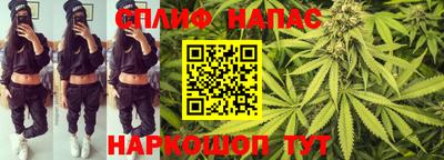 шишки Лесосибирск