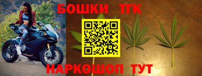 шишки Лесосибирск