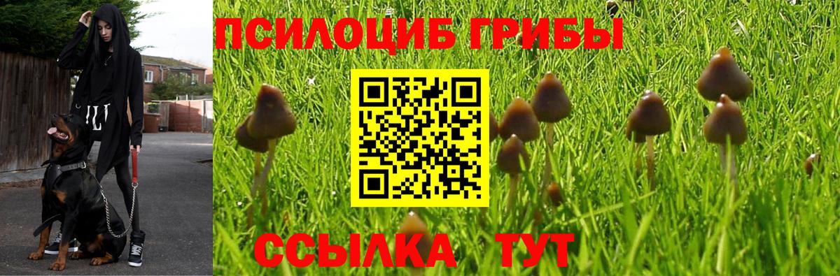 Галлюциногенные грибы MAGIC MUSHROOMS Кимовск